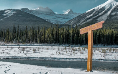 Designing for Utah Winters: Insulation, Roof Pitch and Snow Load Planning (2026)