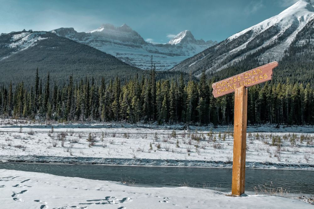 Designing for Utah Winters: Insulation, Roof Pitch and Snow Load Planning (2026)