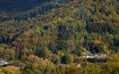 Fall Building Season in Cache Valley: Why September Is the Best Time to Start (2026)